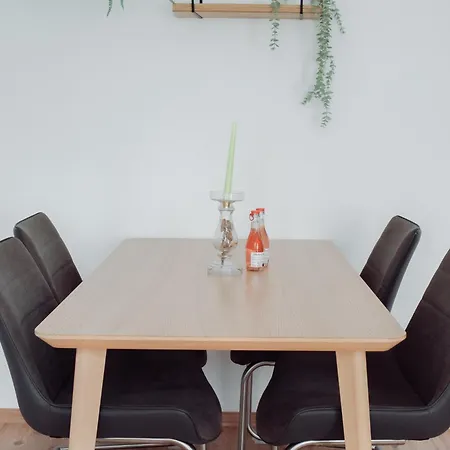 Geraeumige 2-zimmer-wohnung Mit Wlan & Waschmaschine Fuer 3personen Chemnitz